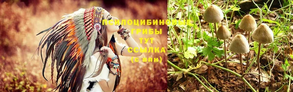 стафф Карпинск