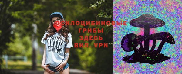 спайс Алзамай