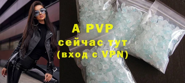 индика Алексин
